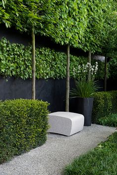 balck wall garden